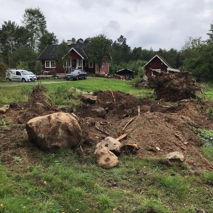 Uppgrävda stubbar och jordhögar framför en röd stuga på en tomt efter trädavverkning.