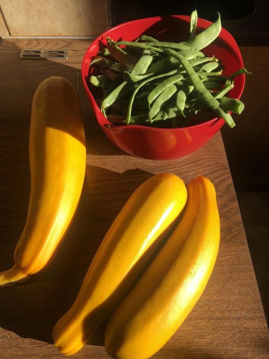 Ett urval av färska grönsaker med gul squash och gröna bönor i en röd skål under solens strålar.