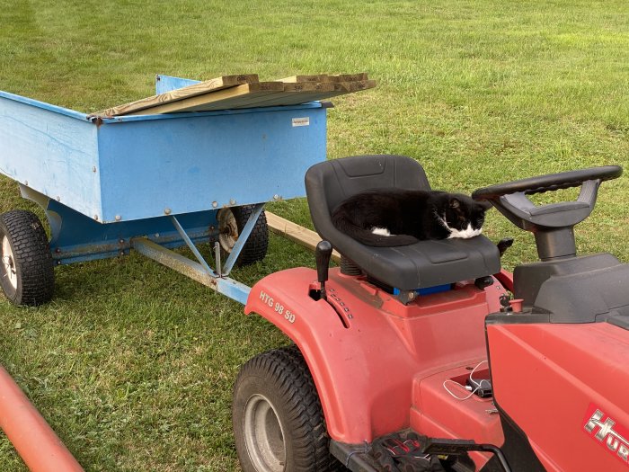 Svartvit katt sover på sitsen av en röd åkgräsklippare vid en blå vagn med träplankor på en gräsmatta.