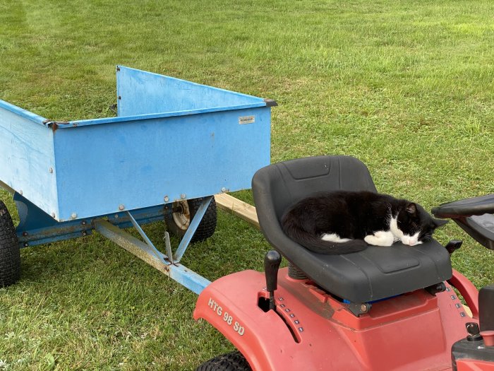 Katt sover på sitsen till en röd åkgräsklippare bredvid en blå släpvagn på gräs.