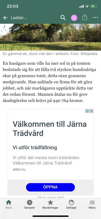 Skärmbild av ett diskussionsforum med text om händelse där en ek fälldes olagligt och en annons för trädfällning.