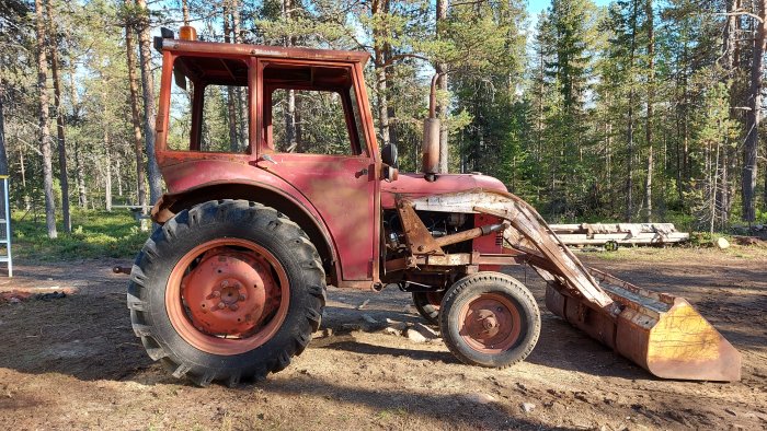 Röd äldre traktor med hytt från David Brown och avmonterad Ålö rörlastare, står i en skogsdunge.