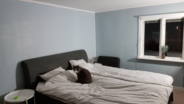Sovrum med ommålade blåa väggar, en säng med kudde och en katt, och fönster med krukväxt.