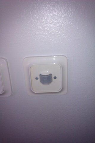 IMAG0236.jpg
