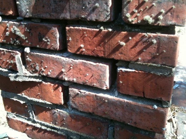 Photo maj 08, 11 43 02.jpg