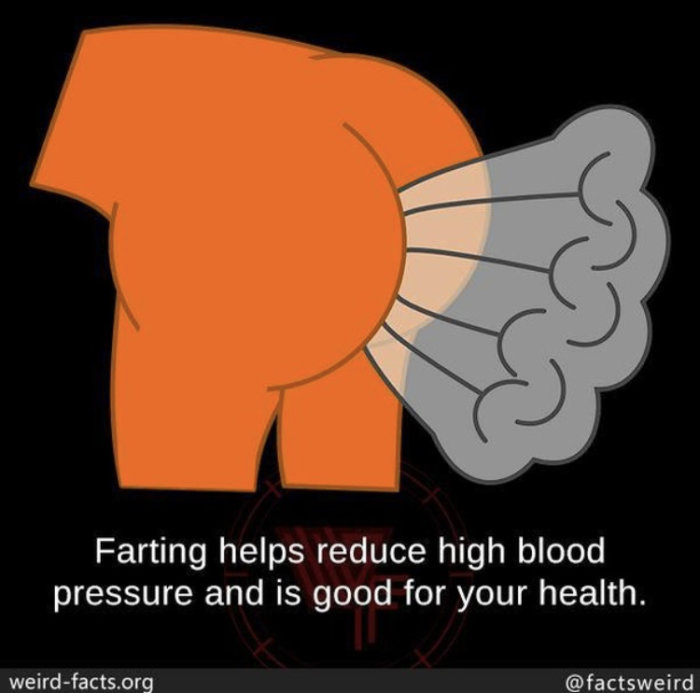 Illustration av en fisande figur med texten "Farting helps reduce high blood pressure and is good for your health.