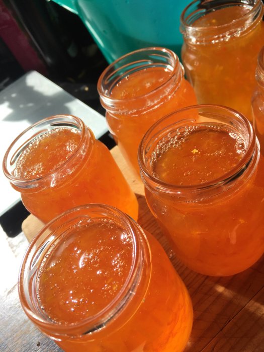 Hemlagad citrusmarmelad med Habanero i glasburkar, med en skimrande orange färg.