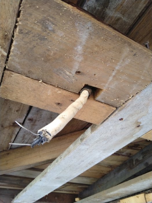 Kabel dragen genom ett trångt pansarrör som sticker ut ur ett hål i en träbjälklag.