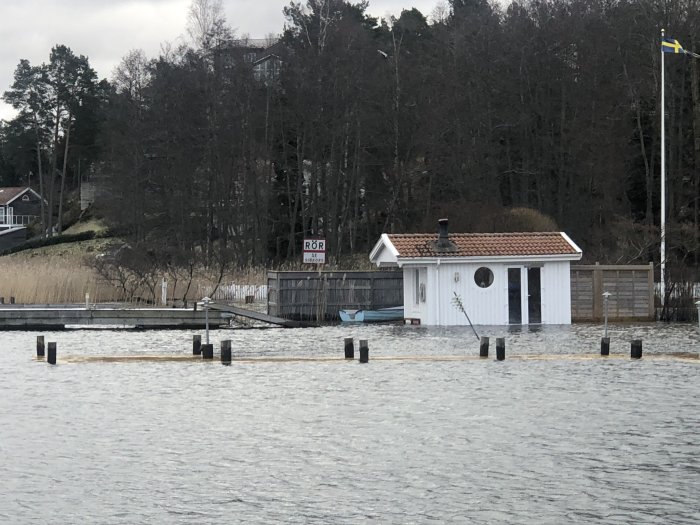 Bastu nära vattenytan på brygga, högvatten nästan når bastun, kullen och skog i bakgrunden.