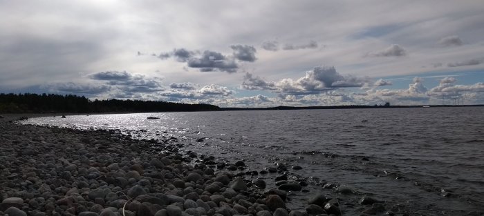 Höstvy av en stenig strand vid vattnet med molnigt himmel och några träd i fjärran, utan solnedgång eller soluppgång.