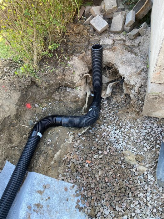 Svart flexibelt dräneringsrör i grävd trädgård, går från marken uppåt nära buske och betongstenar.