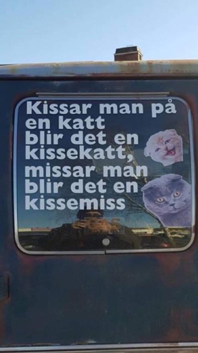 Skämtsam dekal på bilfönster med ordlek om katter och två bilder av kattansikten.