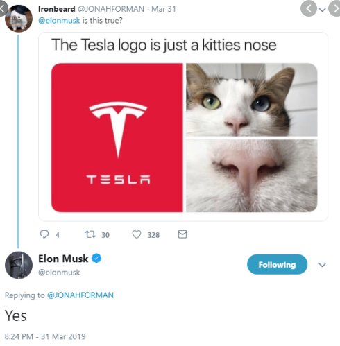 Tesla-logotypen jämförs med en närbild av en katts näsa och ansikte, antyder likhet.