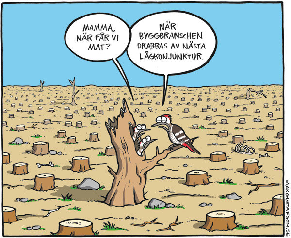 Illustration av en hackspettunge och en vuxen hackspett på en avverkad stubbe, med avverkad skog i bakgrunden och pratbubblor om byggbranschen.