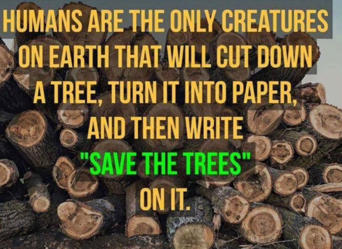 Bakgrund av trädstockar med text som ironiserar mänsklig paradox rörande pappersanvändning och trädbesparing.