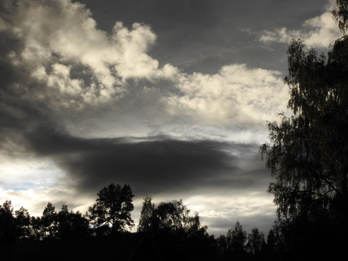 Mörka och ljusa moln på himlen efter ett oväder, med trädtoppar i silhuett.