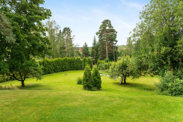 Välansad trädgård med gräsmatta och diverse träd och buskar, tidigare del av bostad för disponent.