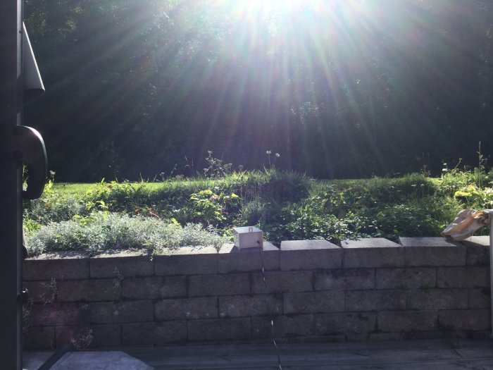 En ultraljudsskrämma för skadedjur placerad på en stenmur med skogen i bakgrunden.