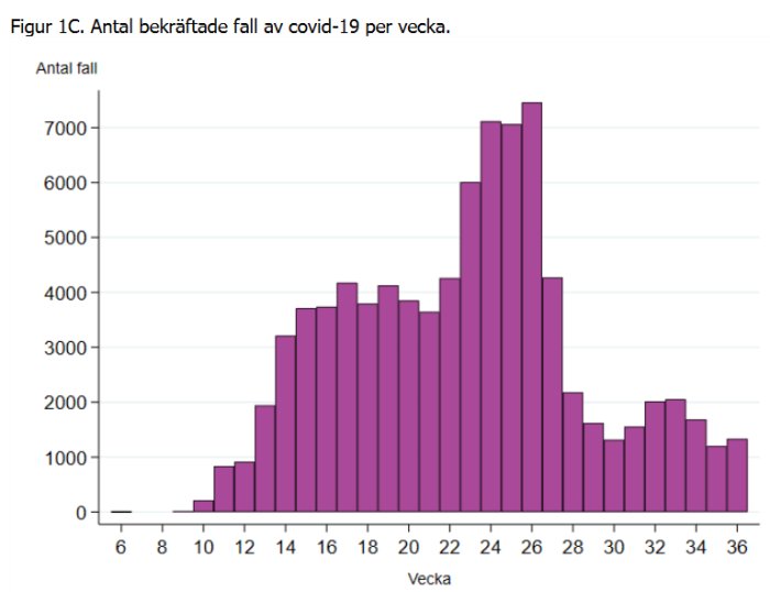 Histogram som visar antalet bekräftade fall av covid-19 per vecka, med en topp i vecka 36.