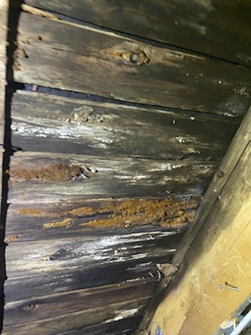 Skadad vägg med synlig röta och avflagnad färg efter rivning, vilket indikerar dolt fel.