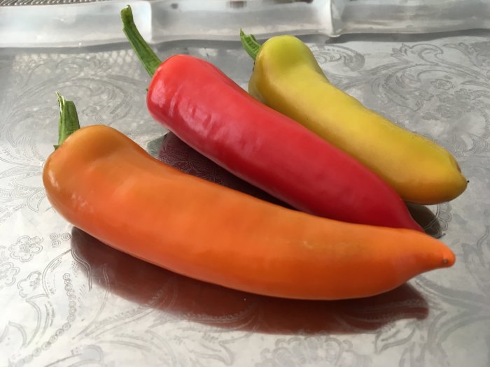 Tre olika mognadsstadier av Hungarian hot wax-chili i rött, orange och gult på ett blommönstrat underlag.
