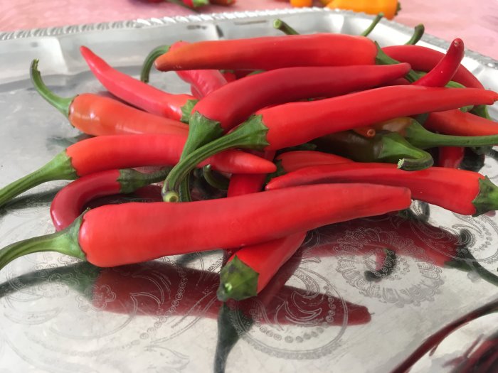 Röda chili Hungarian Hot Wax i olika mognadsstadier på silverbricka.