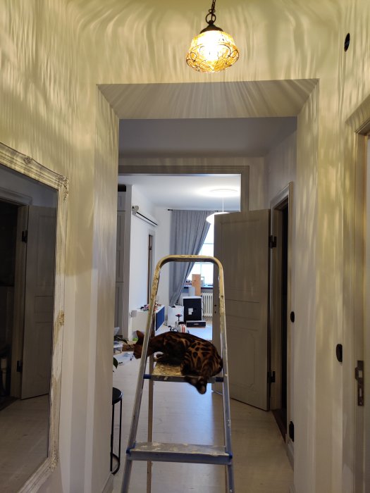 En stege i en hall med en leopardmönstrad pläd, en tänd taklampa ovanför och en öppen dörr som speglar hallen.