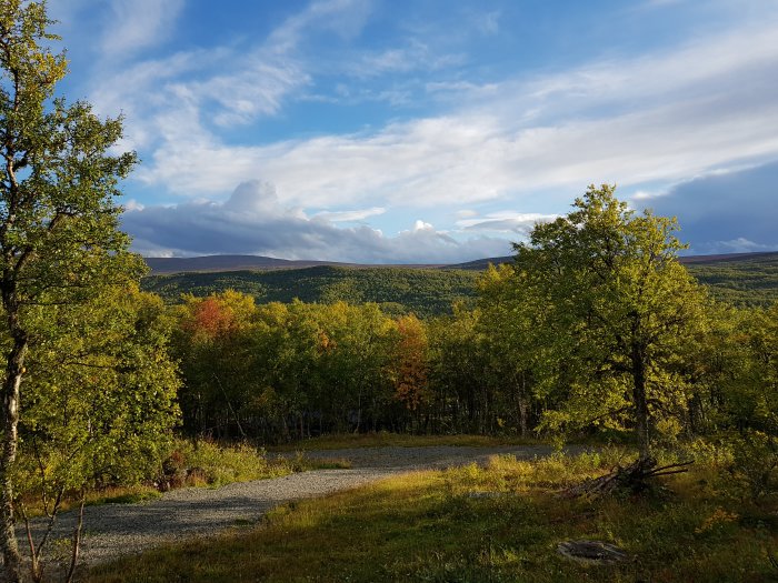 Utsikt över ett höstfärgat skogslandskap med moln och solsken.