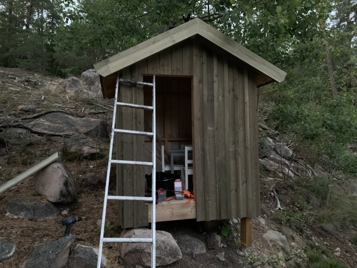 Träkonstruktion av liten stuga med obehövlat trä och en stege, i skogsmiljö under byggnation.