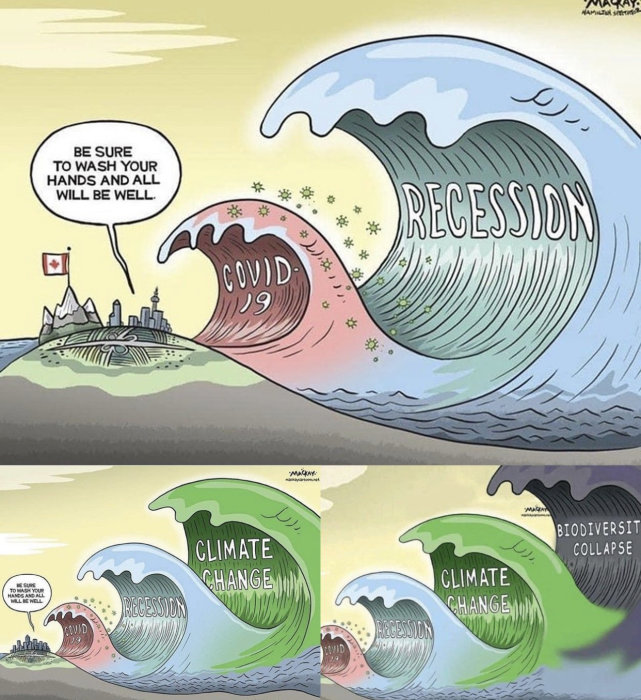 Illustration av vågor märkta "COVID-19", "Recession", "Climate Change" och "Biodiversity Collapse".