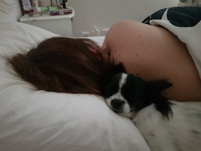 Person och hund som sover tätt intill varandra i en säng.