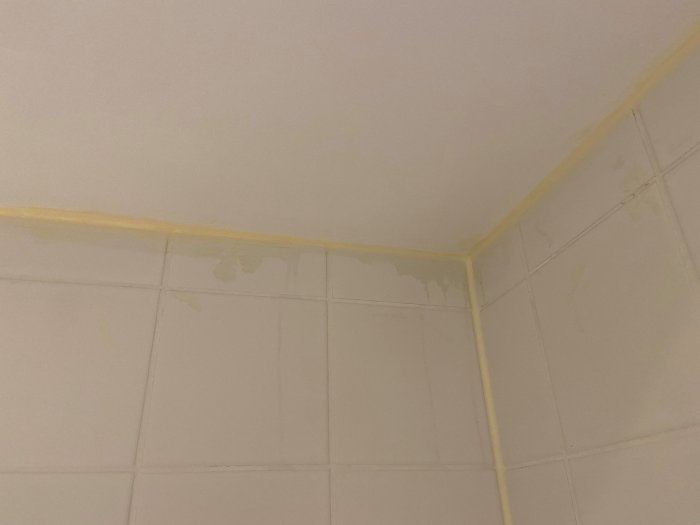 Gult missfärgade fogar längs taket och sidan av duschväggarna i ett badrum med droppar på kaklet.
