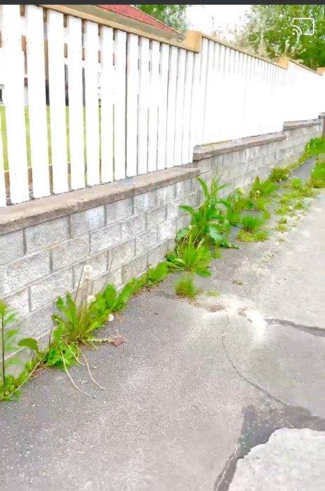 Högt vitmålat staket byggt ovanpå en grå stenmur längs en gata, sett från gatans perspektiv.