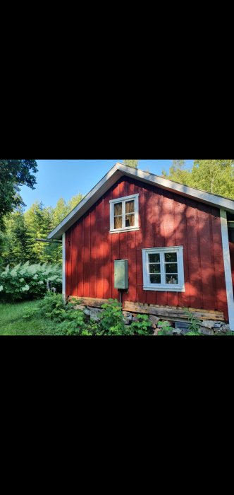 Röd timmerstuga med avsågad nederdel av fasaden för att minska fukt och lufta ut, omgiven av grönska.
