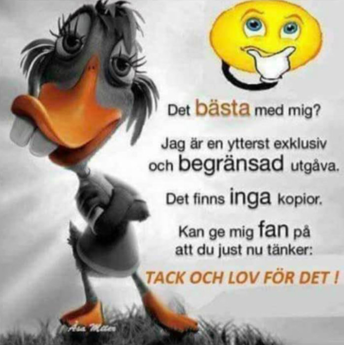 Tecknad anka med mänskliga drag och en text som uttrycker självironisk attityd, framför en leende solikon.