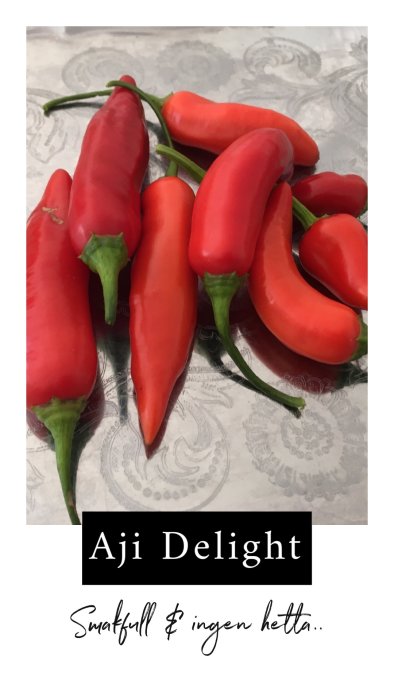 Röda Aji Delight-chilifrukter på ett mönstrat underlag med texten "Smakfull & ingen hetta".