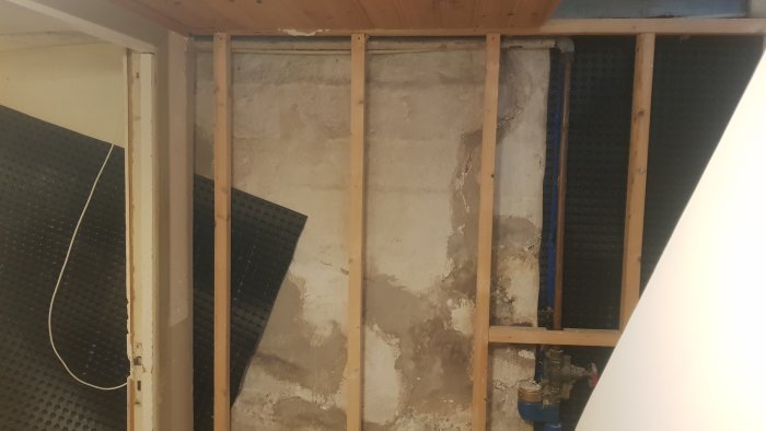 20200919_120849.jpg
