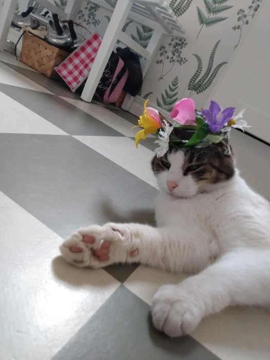 Katt vid namn Sixten med blomkrans runt huvudet ligger på golvet.