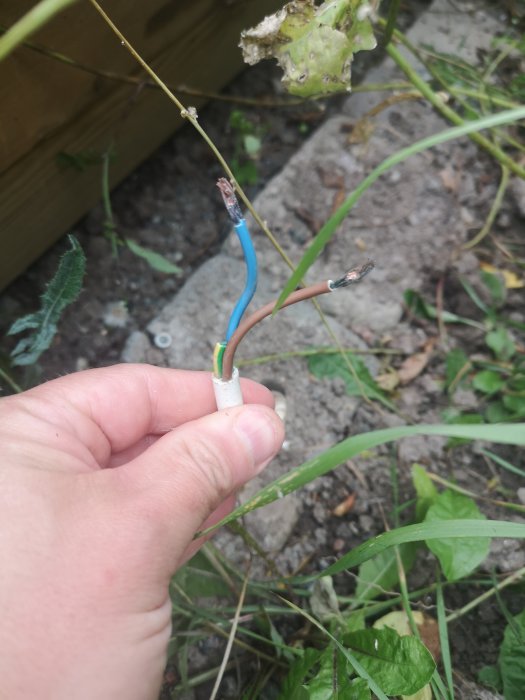 Hand håller el-kablar med synliga ändar, en brun, en blå och en grön/gul, mot naturlig bakgrund.