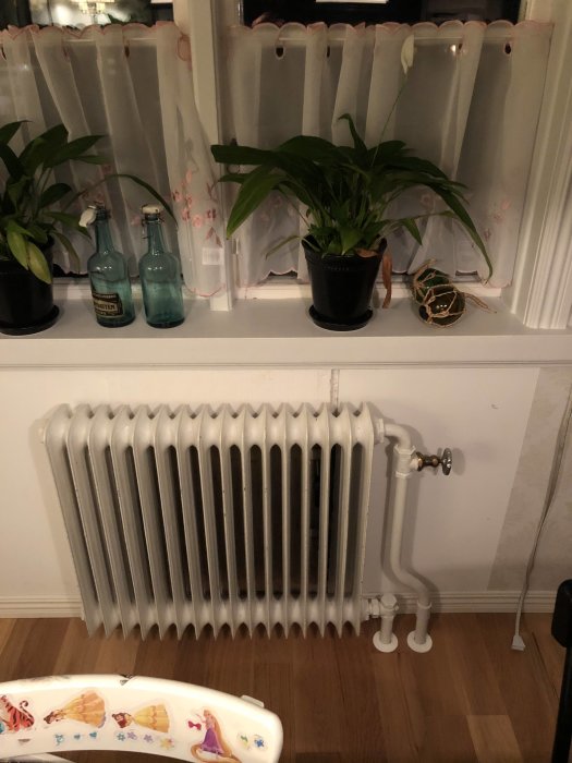 Radiator under fönster med rör som kommer upp ur golvet till höger, omgiven av krukväxter.