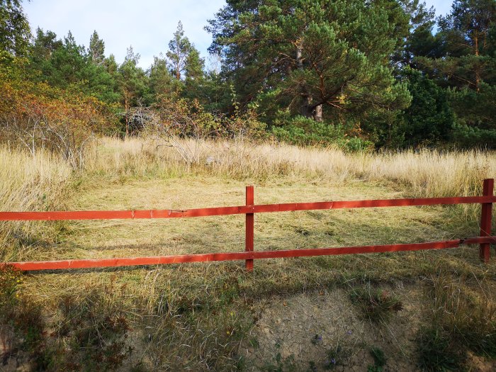 Röjt område i trädgården med en röd trästaket i förgrunden, äng och träd i bakgrunden.