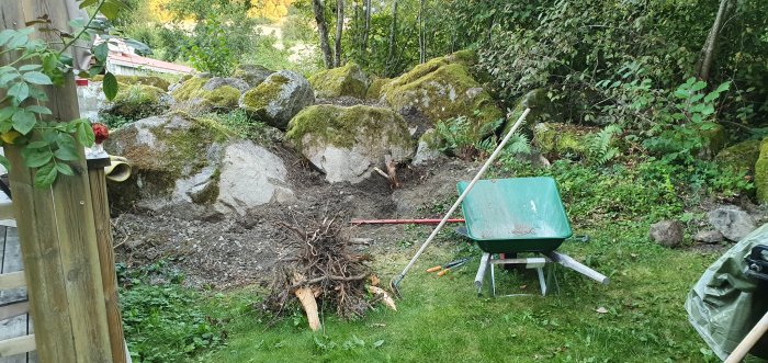 Grävt område med stenar och rötter, en skottkärra och trädgårdsredskap mot en bakgrund av mossbeklädda stenar.