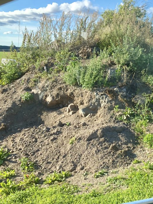 Hög med fyllnadsmassor av sand och sten bland vegetation, erbjuds gratis mot avhämtning.