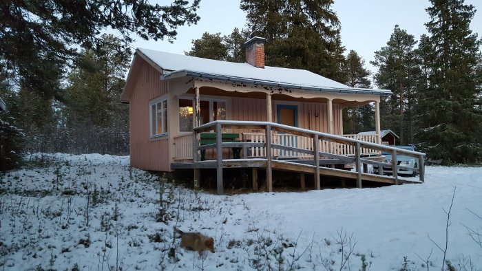 En liten rosa stuga med en snötäckt veranda och ett husdjur som går i snön framför stugan.