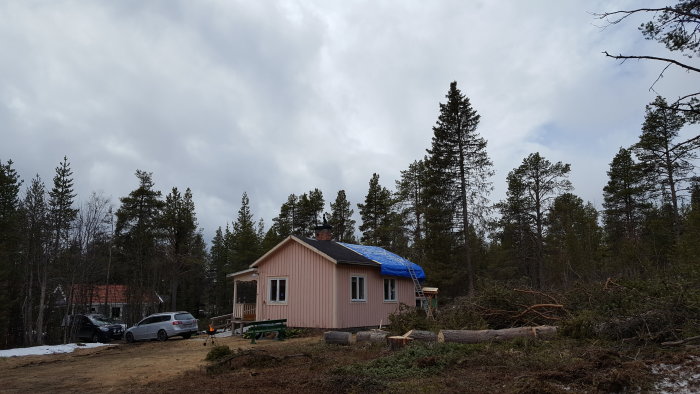 Hus med delvis täckt tak med presenning, omgivet av nedhuggna träd och stubbar, med en bil parkerad framför.