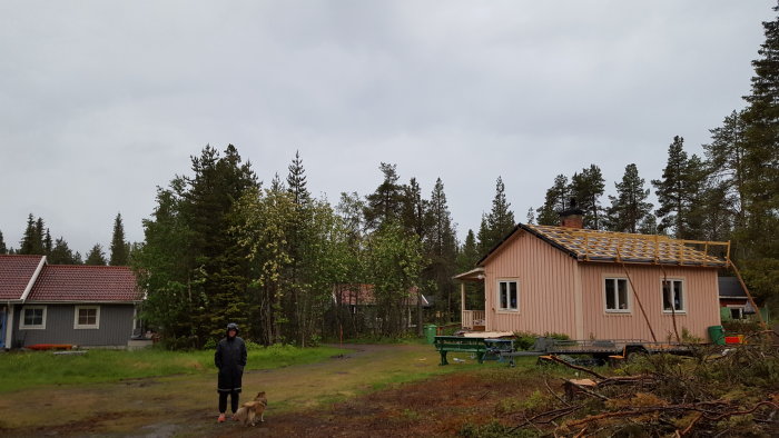 Hus med pågående takrenovering och en person med regnkläder och hund inspekterar arbetsområdet.