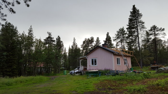 Rosa hus med stegar som leder upp till ett tak under konstruktion, omgivet av en skog och gräsmatta.