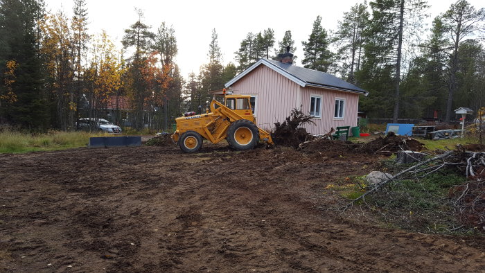 Gul hjullastare bortforslar stubbar framför rosa hus, uppkört gräsmark och träd i bakgrunden.