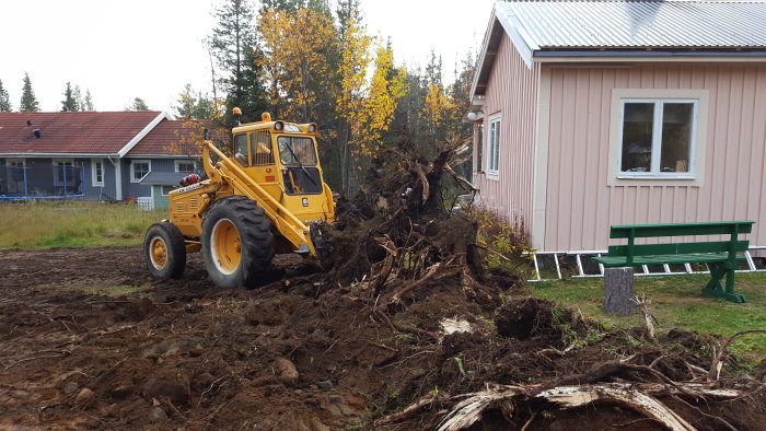 Gul grävmaskin som drar upp stora trädstubbar framför ett hus med röd tak och bänk.