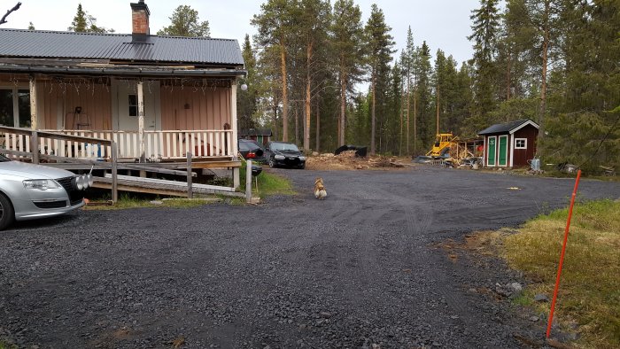 Nygrusad uppfart med hus och uthus, hund på gården, skog i bakgrunden.